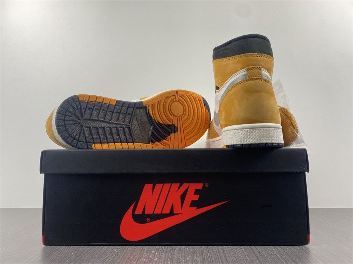 air jordan 1 high element gore-tex light curry db2889-700