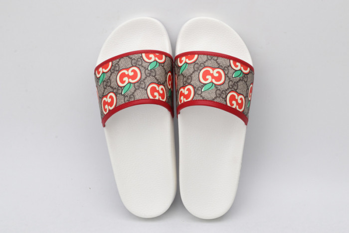 G*u*i slide (eu35-eu46)